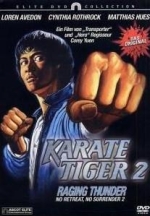 Karate Tiger 2